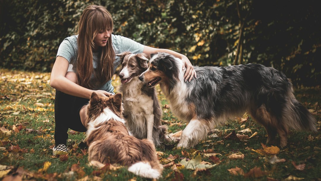 Cover illustration of responsible dog breeding with puppies, health screening icons, and a breeder checklist